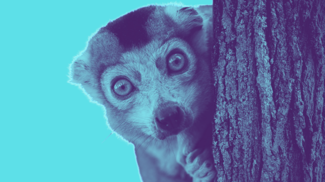 consulente-marketing-bologna-contro-agenzia-comunicazione perchè scegliere una consulente marketing